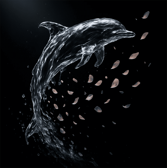 Animals dissolved — пример 3